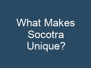 What Makes Socotra Unique?