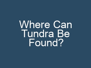 Where Can Tundra Be Found?