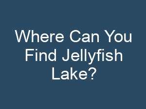 Where Can You Find Jellyfish Lake?