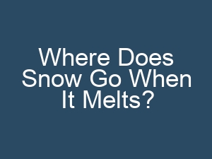 Where Does Snow Go When It Melts?