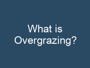 What is Overgrazing?