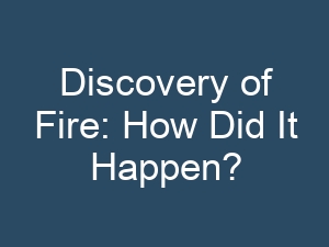 Discovery of Fire: How Did It Happen?