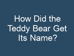 How Did the Teddy Bear Get Its Name?