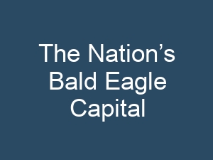 The Nation’s Bald Eagle Capital