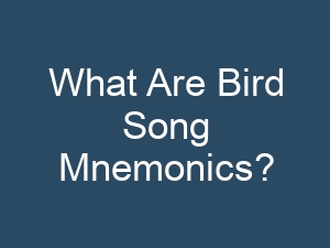 What Are Bird Song Mnemonics?