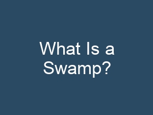 What Is a Swamp?