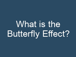What is the Butterfly Effect?