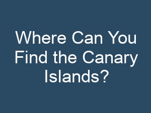 Where Can You Find the Canary Islands?