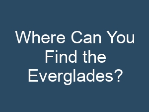 Where Can You Find the Everglades?