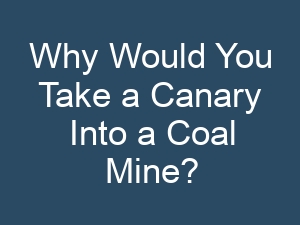 Why Would You Take a Canary Into a Coal Mine?