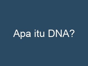 Apa itu DNA?