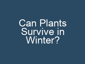 Can Plants Survive in Winter?