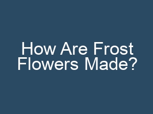 How Are Frost Flowers Made?