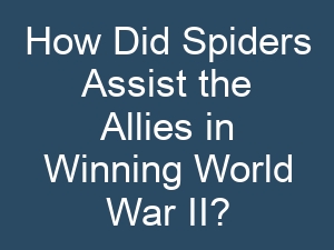 How Did Spiders Assist the Allies in Winning World War II?