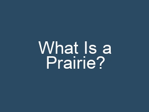 What Is a Prairie?