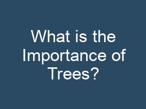 What is the Importance of Trees?