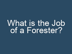 What is the Job of a Forester?