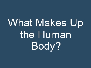 What Makes Up the Human Body?