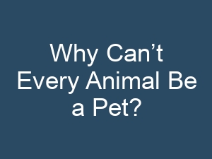 Why Can’t Every Animal Be a Pet?